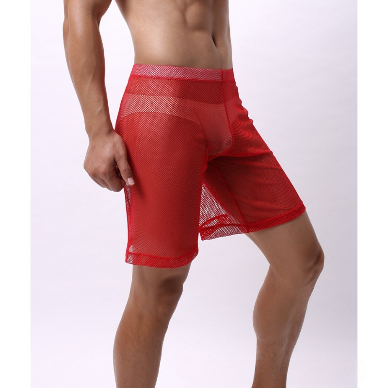 남성용 저층 메쉬 에로 속옷 통기성 남성 복서 반바지  - Pouch Boxer Pouch 리뷰 및 가격